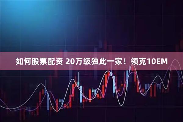 如何股票配资 20万级独此一家！领克10EM