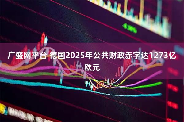 广盛网平台 德国2025年公共财政赤字达1273亿欧元