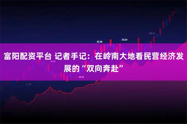 富阳配资平台 记者手记:在岭南大地看民营经济发展的“双向奔赴”